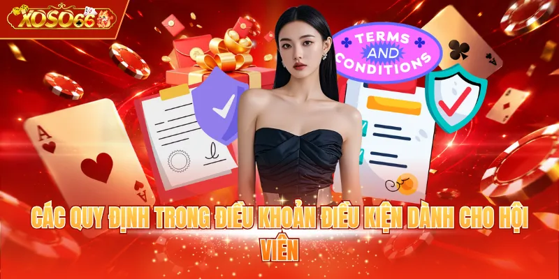 Các quy định trong điều khoản điều kiện dành cho hội viên