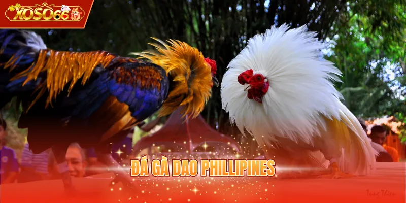 Đá gà dao Phillipines