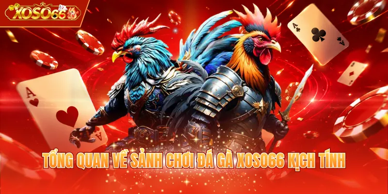 Tổng quan về sảnh chơi đá gà XOSO66 kịch tính